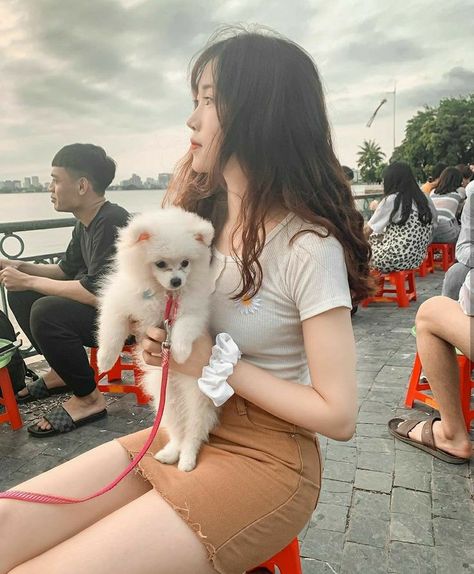 无颜之月在线观看免费全集